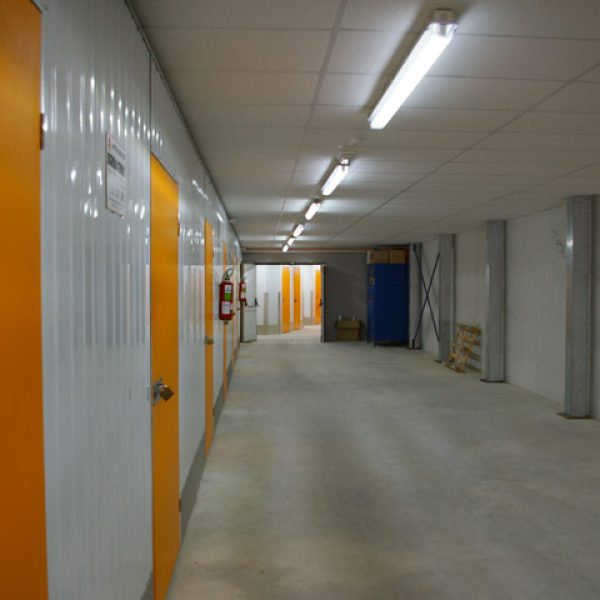 IMG_2690 IMG_2690